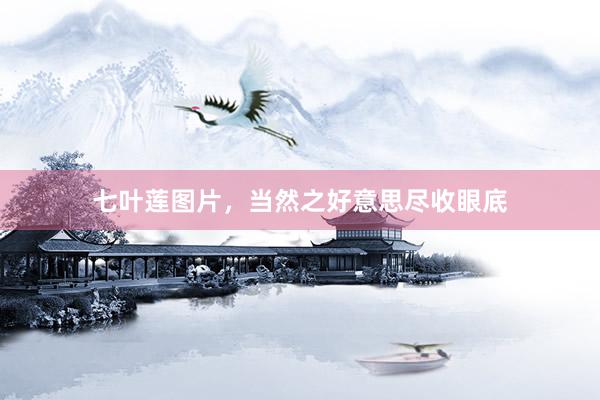 七叶莲图片，当然之好意思尽收眼底